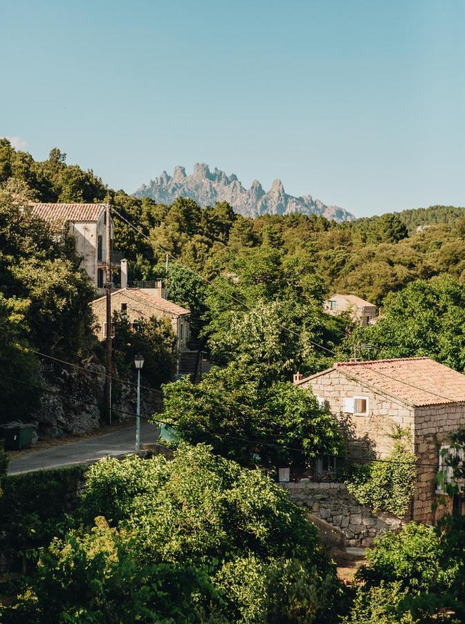Auberge U N'Antru Versu San-Gavino-di-Carbini Exterior photo